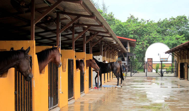 Source: Ingspirations (https://ingspirations.com)